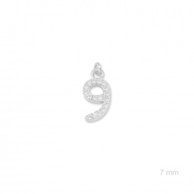 Charm de Plata de Ley (Número 9)