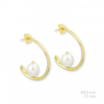 Pendientes de Plata de Ley 