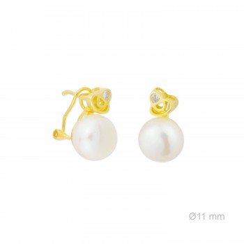 Boucles d'oreilles en Argent