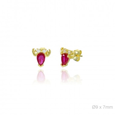 Boucles d'oreilles Zircons