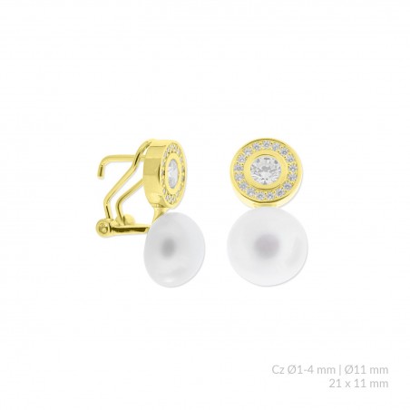 Boucles d'oreilles en Argent