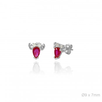 Boucles d'oreilles Zircons