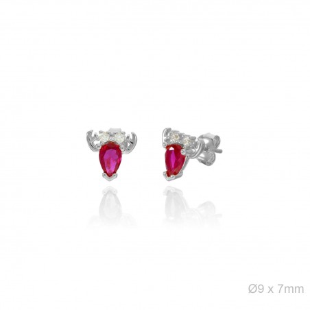 Boucles d'oreilles Zircons