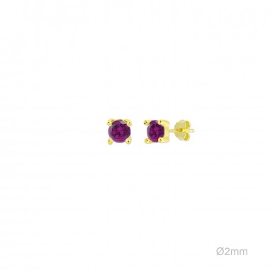 Pendientes Presión Dorado Circ Fuxia