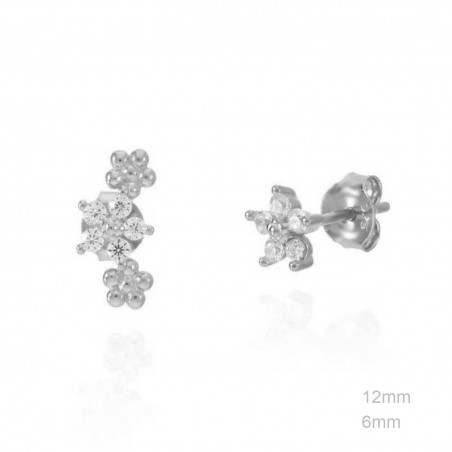 Boucles d'oreilles Zircons