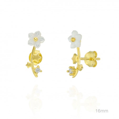 Boucles d'oreilles Zircons
