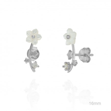 Boucles d'oreilles Zircons