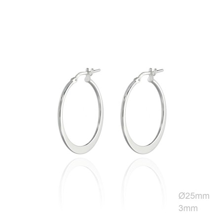 Earrings Sterling silver