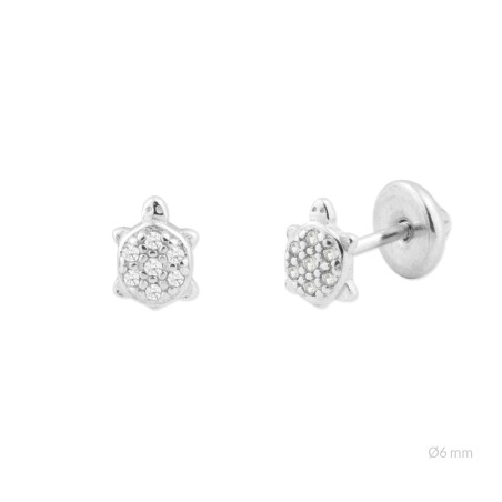 Boucles d'oreilles en Argent