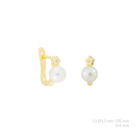 Silver earrings with cubic zirconium