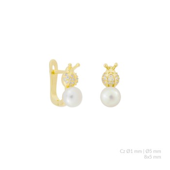 Boucles d'oreilles en...