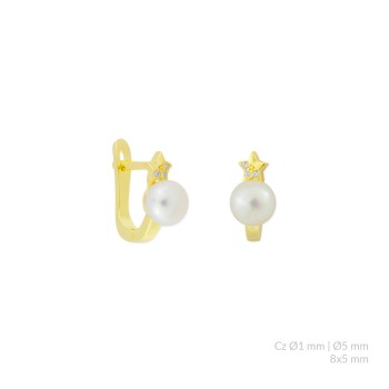 Silver earrings with cubic...