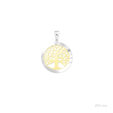 Pendentifs en Argent