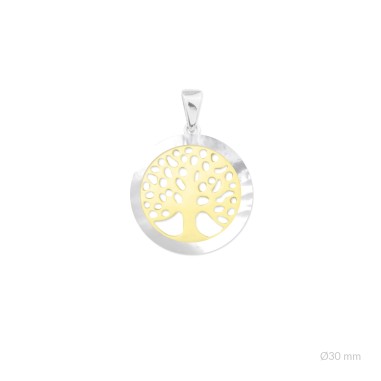 Pendentifs en Argent