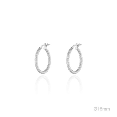 Earrings Sterling silver