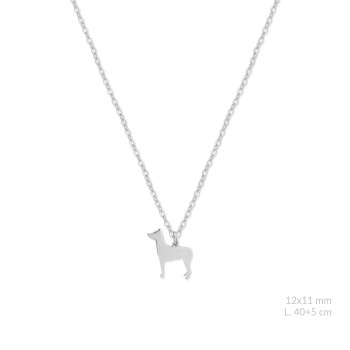 Silver necklace | Pinscher