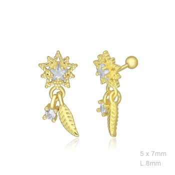 Boucles d'oreilles Piercings