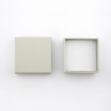 Boucles d'oreilles en Argent