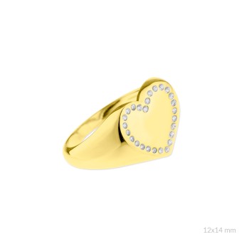 Anillo de Plata de Ley 2