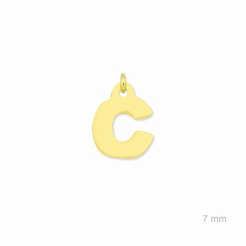 C 2