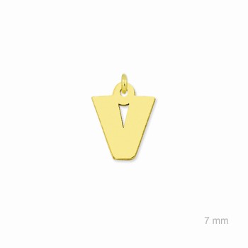 Charm de Plata de Ley... 2