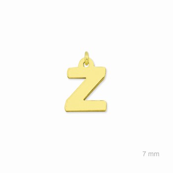 Charm de Plata de Ley... 2