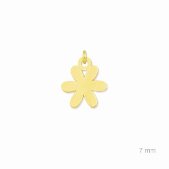 Charm de Plata de Ley... 2