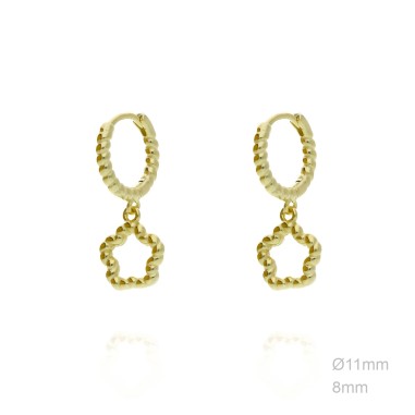 Earrings Sterling silver