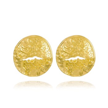 Stainless Steel Earrings 2