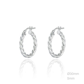 Earrings Sterling silver