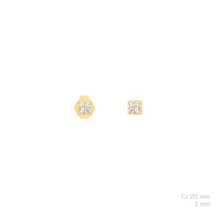 Boucles d'oreilles en Argent avec oxyde de zirconium