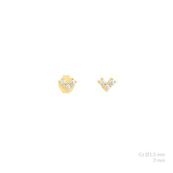 Silver earrings with cubic...