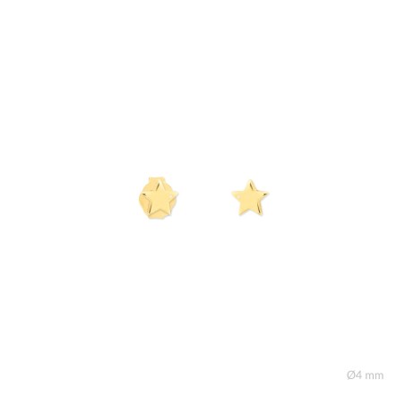 Boucles d'oreilles en Argent