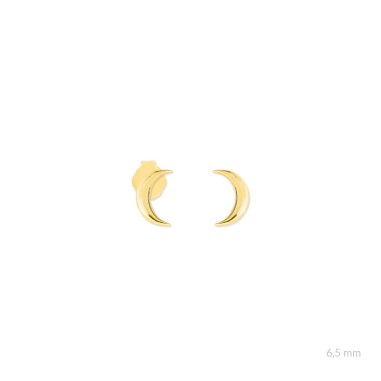 Boucles d'oreilles en Argent