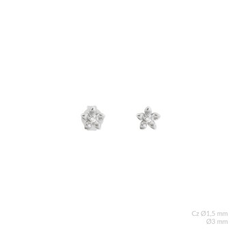 Silver earrings with cubic...