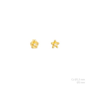 Boucles d'oreilles en...