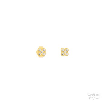 Boucles d'oreilles en...