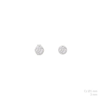 Pendientes de Plata de Ley...