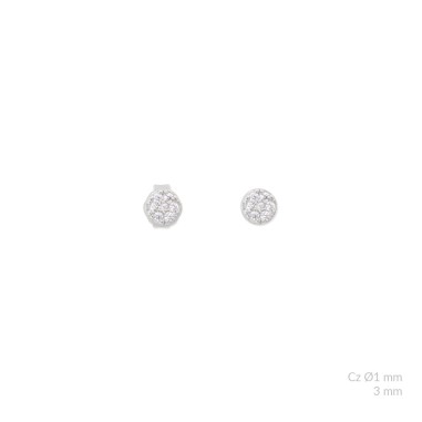 Boucles d'oreilles en Argent avec oxyde de zirconium