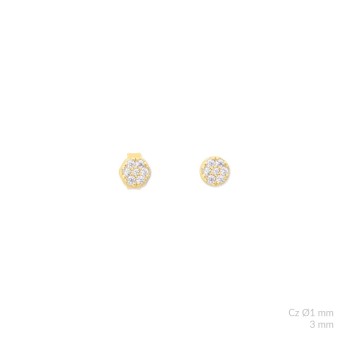 Pendientes de Plata de Ley...