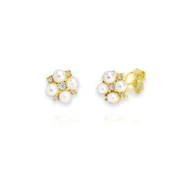 Boucles d'oreilles Zircons