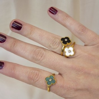 Anillo de Plata de Ley 2