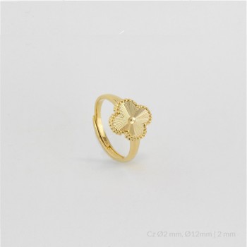 Anillo de Plata de Ley