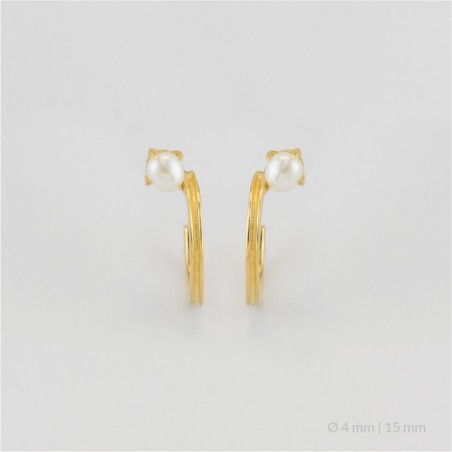 Boucles d'oreilles en Argent