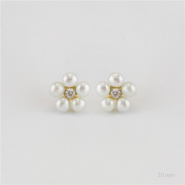 Boucles d'oreilles en Argent