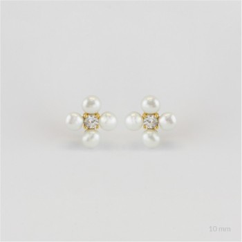 Boucles d'oreilles en Argent