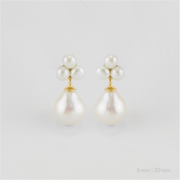 Boucles d'oreilles en Argent