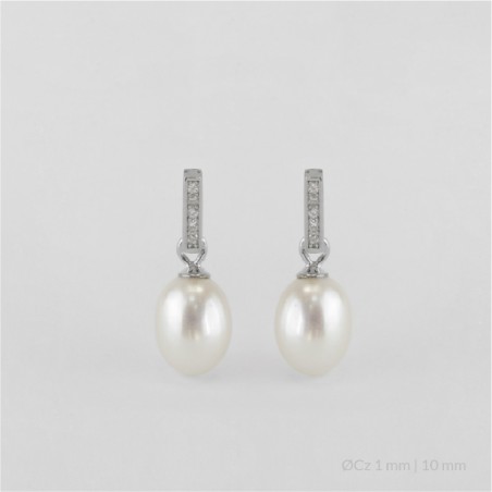 Pendientes de Plata de Ley