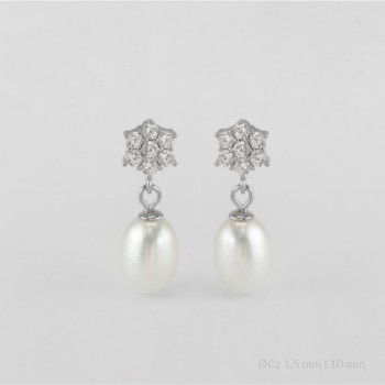 Boucles d'oreilles en Argent