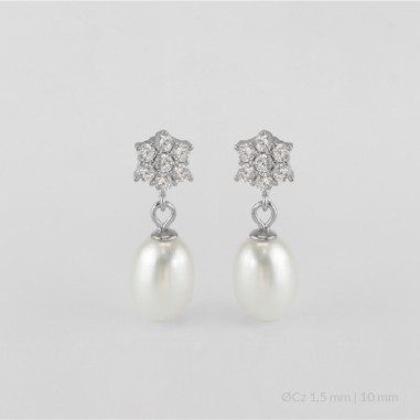 Silver Earrings